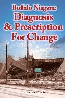bokomslag Buffalo Niagara: Diagnosis & Prescription for Change