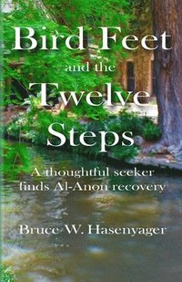 bokomslag Bird Feet and the Twelve Steps: A thoughtful seeker finds Al-Anon recovery