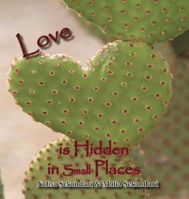 Love is Hidden in Small Places 1