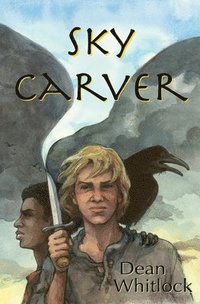 bokomslag Sky Carver