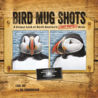 Val Cunningham - Bird Mug Shots, Häftad