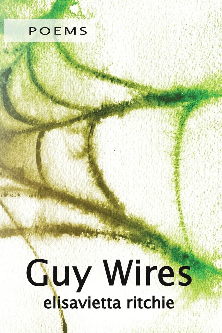 Guy Wires 1