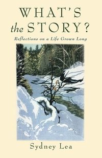 bokomslag What's the Story?: Reflections on a Life Grown Long
