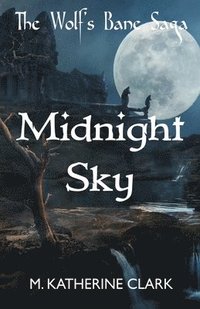 bokomslag Midnight Sky