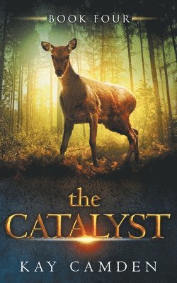 The Catalyst 1