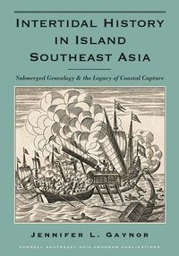 bokomslag Intertidal History in Island Southeast Asia