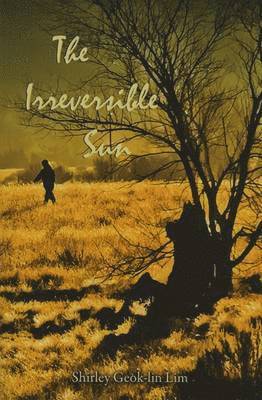 Irreversible Sun