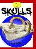 bokomslag Skulls