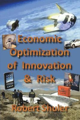 bokomslag Economic Optimization of Innovation & Risk