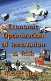 bokomslag Economic Optimization of Innovation and Risk