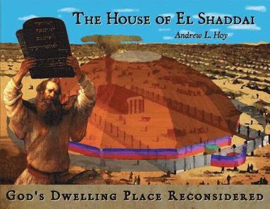 bokomslag The House of El Shaddai
