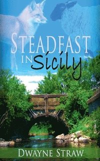 bokomslag Steadfast in Sicily