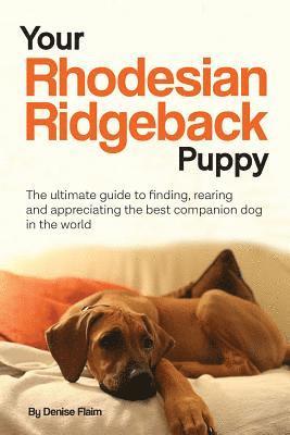 Your Rhodesian Ridgeback Puppy 1