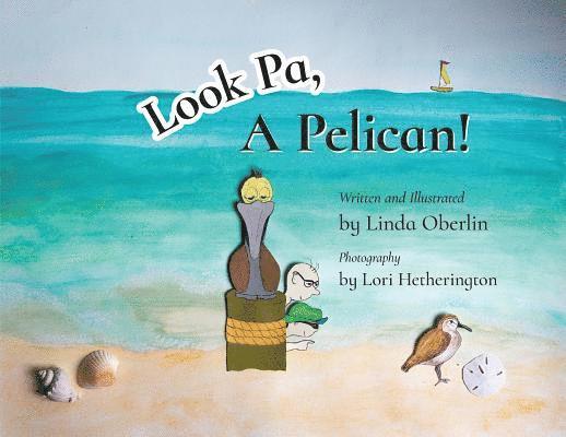 Look Pa, A Pelican! 1
