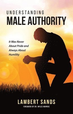 bokomslag Understanding Male Authority