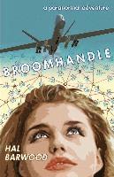 bokomslag Broomhandle: a paranormal adventure