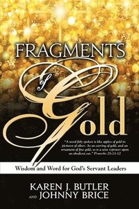 bokomslag Fragments of Gold: Wisdom and Word for God's Servant Leaders