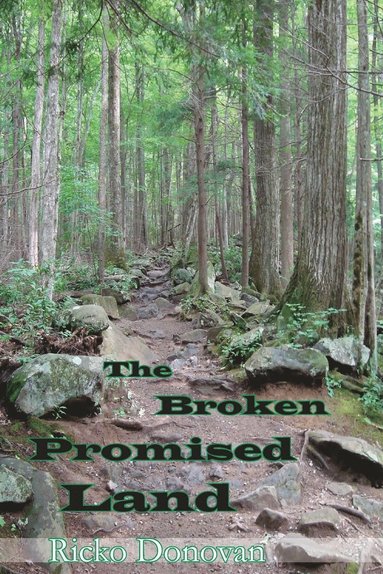 bokomslag Broken Promised Land