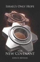 John B. Metzger - Israel S Only Hope: The New Covenant, Häftad