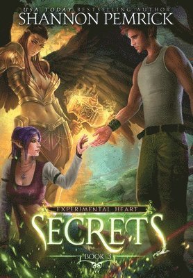 bokomslag Secrets