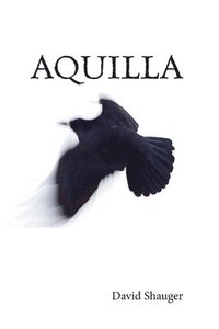 bokomslag Aquilla