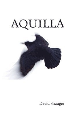 Aquilla 1