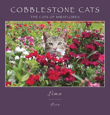 Cobblestone Cats - Lima, Inbunden