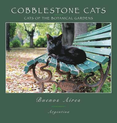 Cobblestone Cats - Buenos Aires