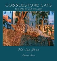 bokomslag Cobblestone Cats - Puerto Rico