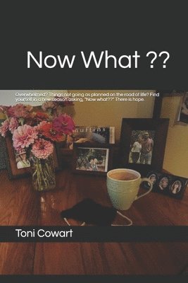 bokomslag Now What: Overwhelmed? Things not going as planned on the road of life? Finding yourself in a new season asking, 'Now what '. There is hope.