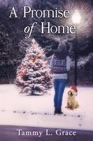 A Promise of Home: A Hometown Harbor Novel