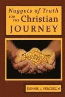 bokomslag Nuggets of Truth for the Christian Journey