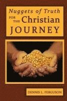 bokomslag Nuggets of Truth for the Christian Journey