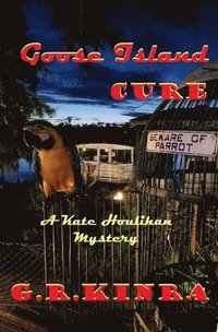 bokomslag Goose Island Cure: A Kate Houlihan Mystery