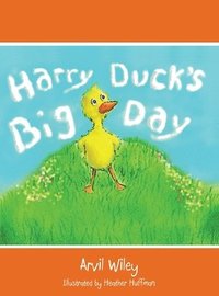 bokomslag Harry Duck's Big Day