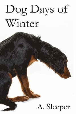 bokomslag Dog Days of Winter
