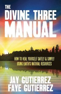 bokomslag Divine Three Manual