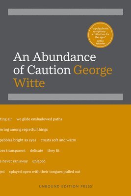 George Witte - An Abundance of Caution, Inbunden