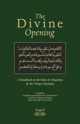 bokomslag Divine Opening