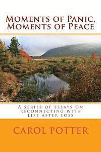 bokomslag Moments of Panic, Moments of Peace: A series of essays on reconnecting with life after loss