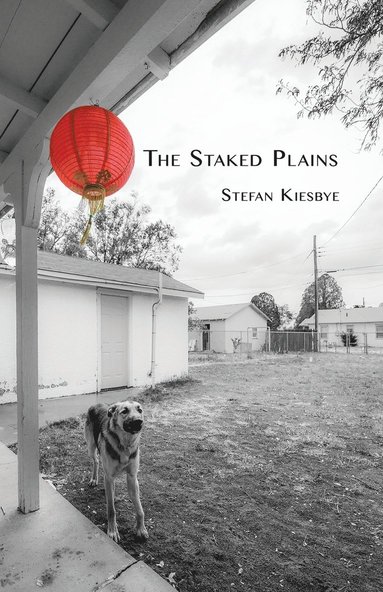 bokomslag Staked Plains