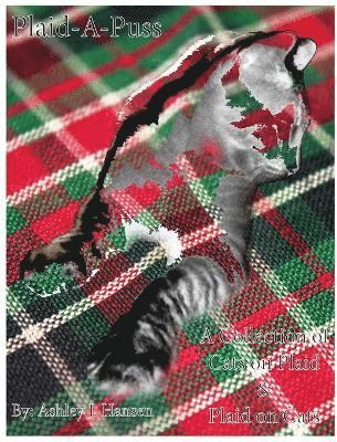 Plaid-A-Puss 1