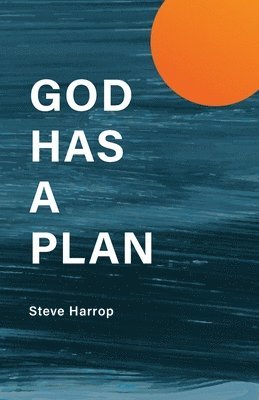 bokomslag God Has A Plan