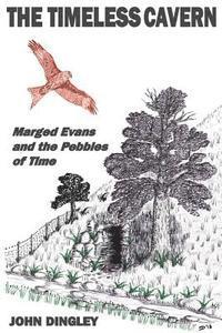 bokomslag The Timeless Cavern: Marged Evans and the Pebbles of Time