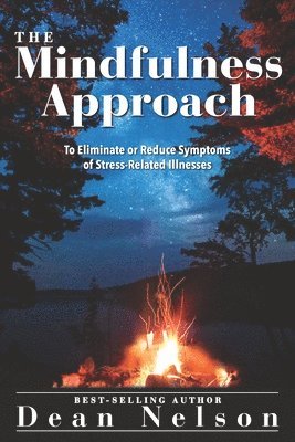 bokomslag Mindfulness Approach