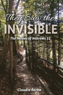 bokomslag They Saw the Invisible: The Heroes of Hebrews 11