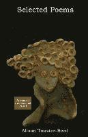 bokomslag Selected Poems