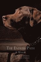 bokomslag The Endless Path