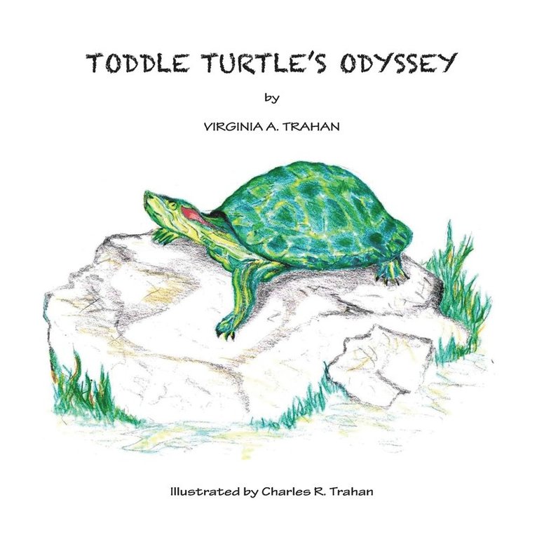 Toddle Turtle's Odyssey 1