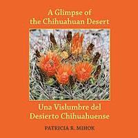 A Glimpse of the Chihuahuan Desert: Una Vislumbre del Desierto Chihuahuense, Häftad